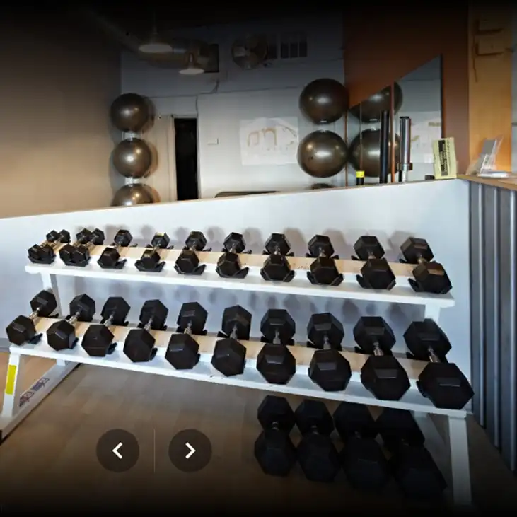 Body One Fitness Dumb Bells