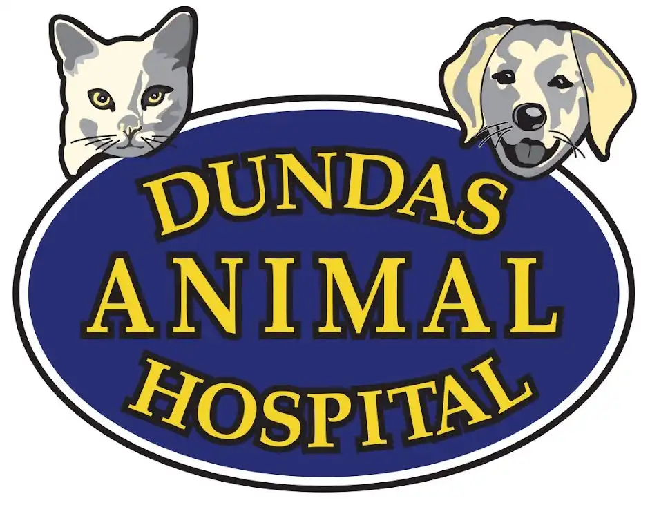 Dundas Animal Hospital Logo