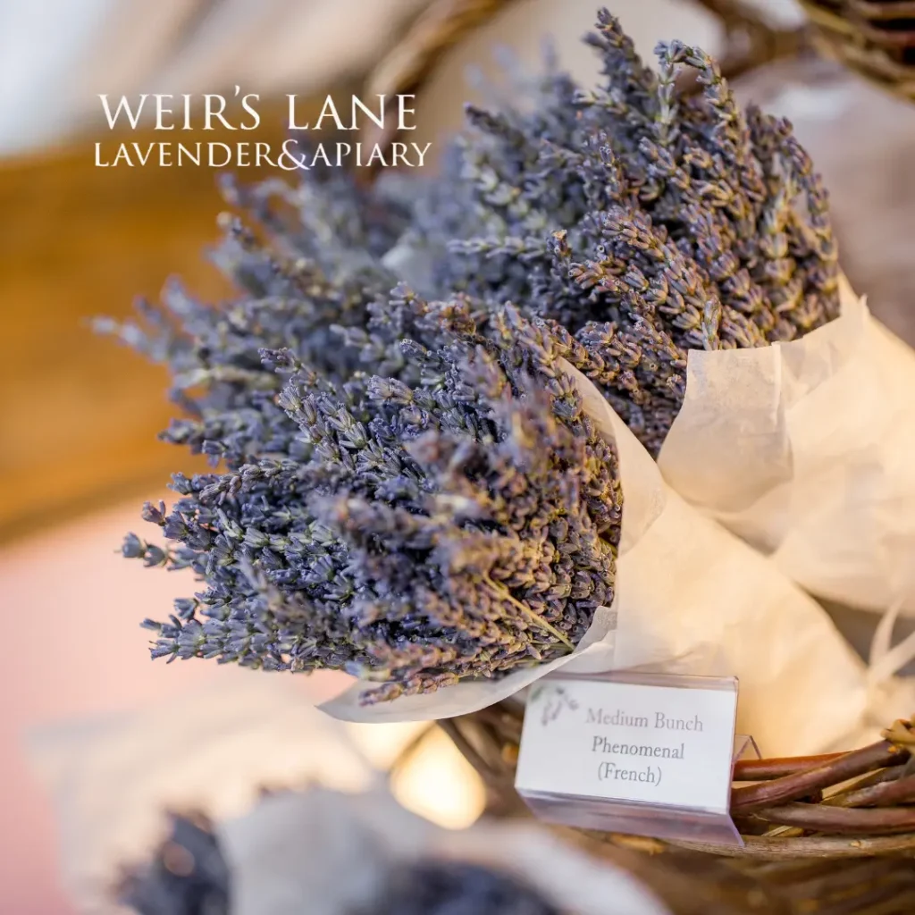 Weir’s Lane Lavender & Apiary